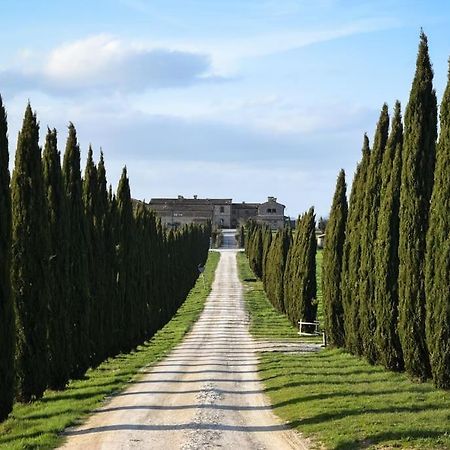 Cozy Home In Countryside Asciano Siena -Renovated! المظهر الخارجي الصورة