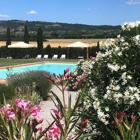 Cozy Home In Countryside Asciano Siena -Renovated! المظهر الخارجي الصورة