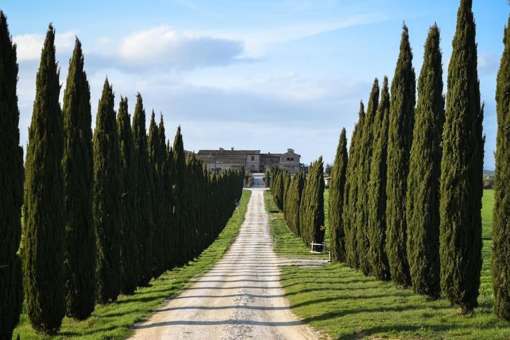 Cozy Home In Countryside Asciano Siena -Renovated! المظهر الخارجي الصورة