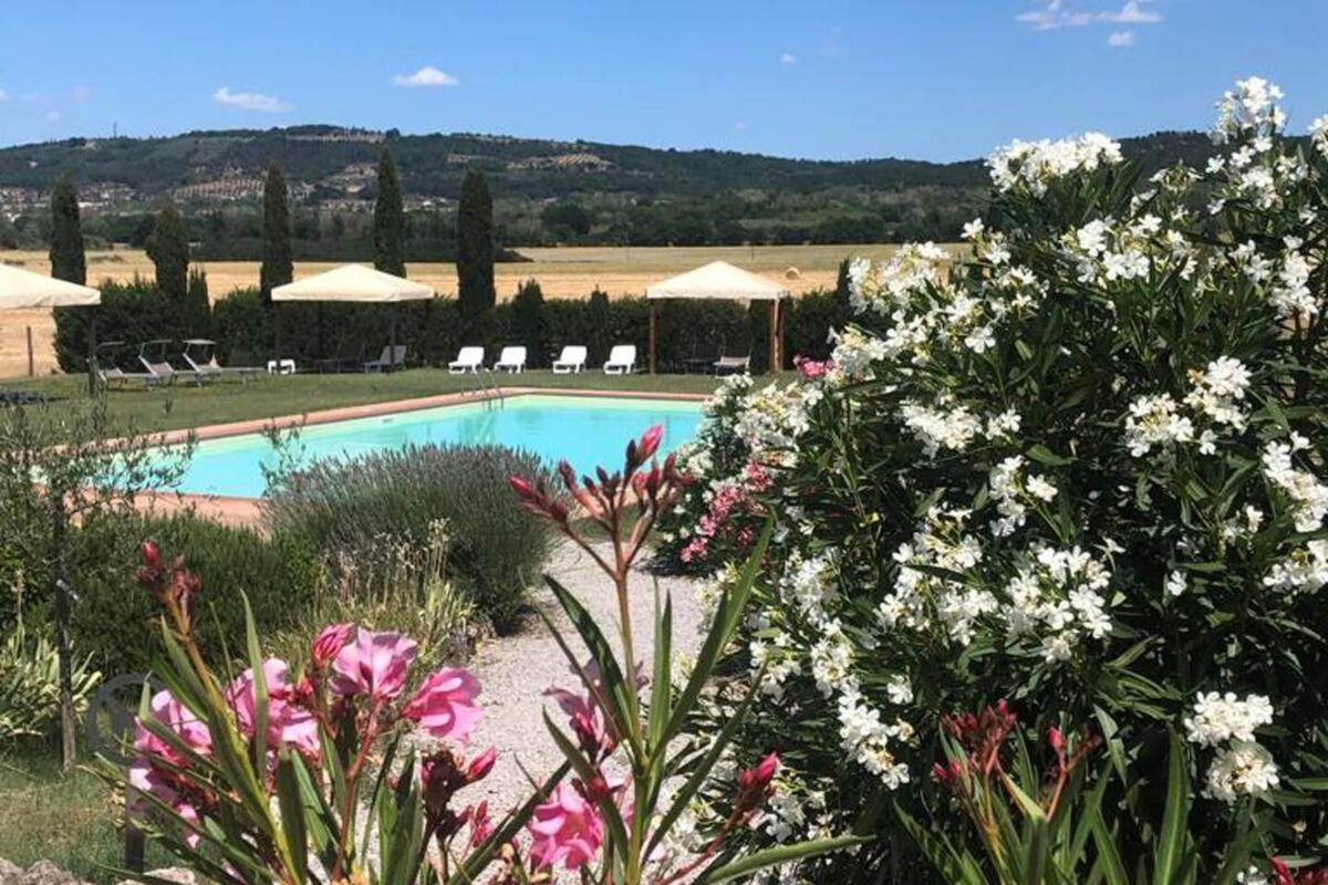 Cozy Home In Countryside Asciano Siena -Renovated! المظهر الخارجي الصورة